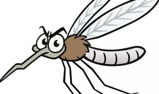 房间蚊子多有什么办法灭掉 有什么办法除蚊子房间里