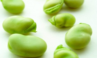 蚕豆保鲜及储存方法 蚕豆保鲜及储存方法图解