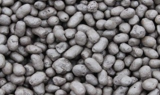 陶粒有什么陶粒 陶粒百度百科