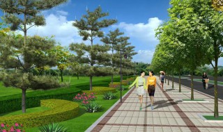 绿化对环境的作用 绿化对环境的作用是什么