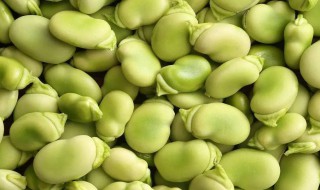 蚕豆冷冻保存的方法 蚕豆冷冻保存的方法是什么