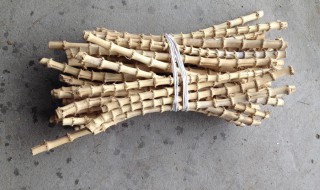 怎样正确判断竹鞭的位置（怎样判断楠竹竹鞭方向）