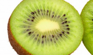 弥猴桃开花人工授粉方法（弥猴桃要授粉吗）