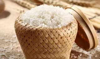 大米防止生虫的七个方法（大米防止生虫的七个方法是什么）