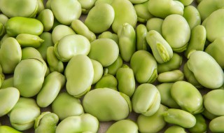 蚕豆去皮的方法（蚕豆去皮的方法视频）