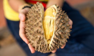 榴莲没熟怎么存放熟得快 不太成熟的榴莲怎么储藏能变熟一点