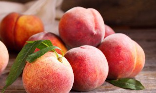 桃树控旺长新方法 桃树怎么控旺长