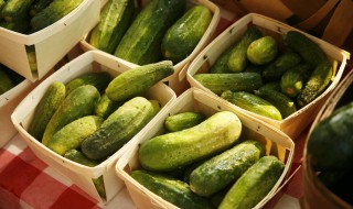 怎样修剪黄瓜才能高产（怎样修剪黄瓜才能高产视频）