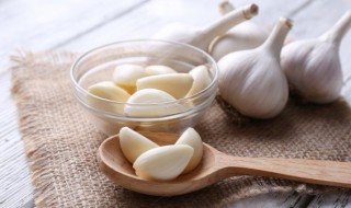 大蒜秸秆的功效与作用（大蒜秸秆的功效与作用?）