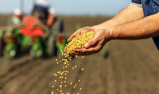 碳铵肥料的特点和作用（碳铵是一种较常使用的化肥）