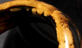 海柳手镯的功效与作用（海柳手镯的功效与作用及禁忌）