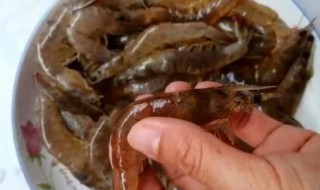 河虾如何清洗