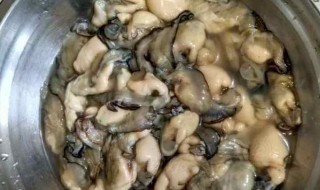 海蛎如何清洗 海蛎如何清洗内脏