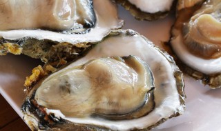 牡蛎如何清洗（牡蛎如何清洗内脏）