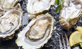 如何清洗牡蛎 如何清洗牡蛎里的泥沙