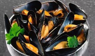 如何清洗淡菜 如何清洗淡菜更干净