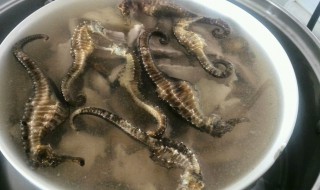 海马如何清洗 海马如何清洗保养