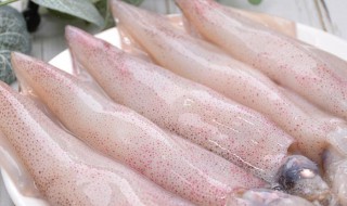 鱿鱼如何清洗 鱿鱼如何清洗歌名