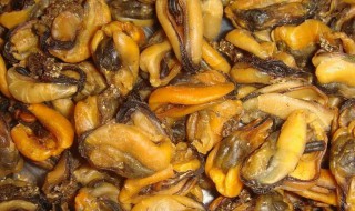 淡菜如何清洗 淡菜如何清洗干净