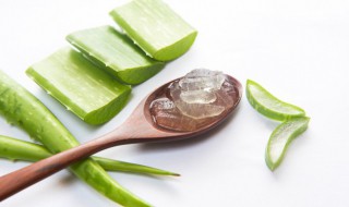 芦荟胶的作用功效是什么（芦荟胶的作用功效是什么呢）