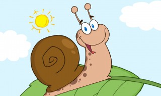 怎样分辨蜗牛有毒（怎样分辨蜗牛有毒没毒）