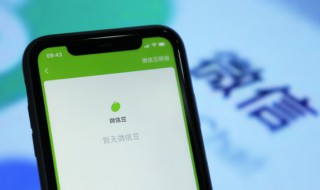 怎么关注微信公众号