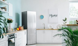 新冰箱如何清洗（新冰箱如何清洗内部）