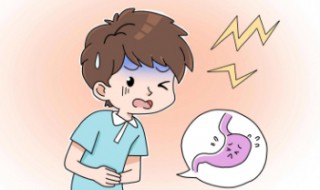 吃了就吐怎么办（小狗吃了就吐怎么办）