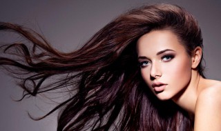 怎么样养发 怎么样养发财树