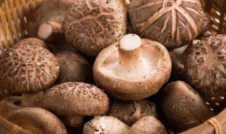 香菇如何清洗（香菇如何清洗才干净?）