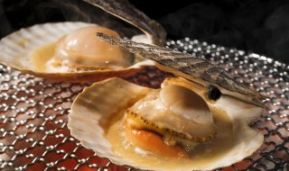 如何清洗扇贝（如何清洗扇贝更干净的方法）