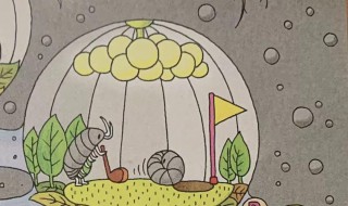 西瓜虫喜欢吃什么 西瓜虫喜欢吃什么食物