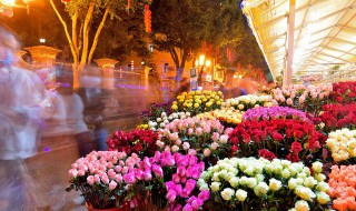 干花需要插在水里吗 干花要用水插吗