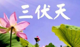 暑伏是什么时间开始的 暑伏是什么时间开始的2022