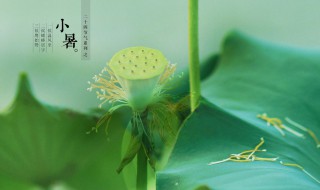 小暑的含义和由来 小暑的由来是什么