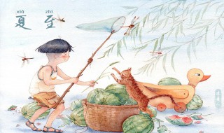 夏至节气民俗（夏至节气民俗有哪些）