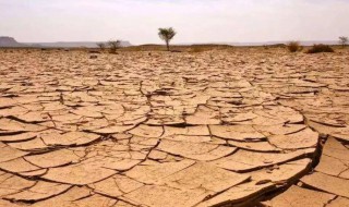 沙漠化和沙漠的区别 沙漠化和沙漠的区别在哪