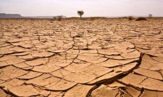 荒漠化和沙漠化有何不同 荒漠化和沙漠化有何不同呢