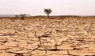 荒漠化和沙漠化面积 沙漠化的面积