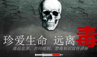 国际禁国际禁毒日是每年的哪一天（国际的禁毒日是每年的哪一天）