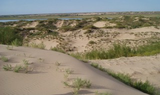 土地荒漠化的原因 西北土地荒漠化的原因