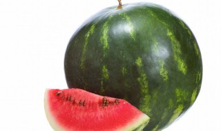 迷你西瓜种植方法（迷你西瓜种植方法图解）