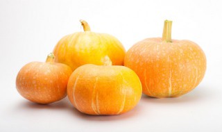 贝贝南瓜的种植方法（贝贝小南瓜 种植方法）