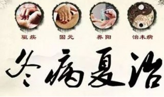 什么是三伏调理（三伏天调理什么最好）