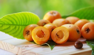 枇杷的种植方法（枇杷的种植方法和技术）