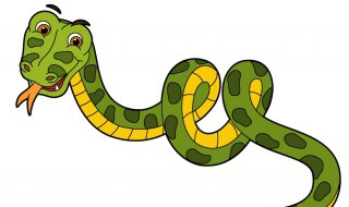 梦见蟒蛇是什么意思（梦见蟒蛇是什么意思周公解梦）