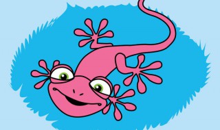 壁虎咬人吗?有毒吗（壁虎会咬人吗,壁虎有毒吗）