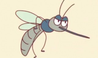 自制灭蚊子的小妙招 自制灭蚊子的小妙招视频