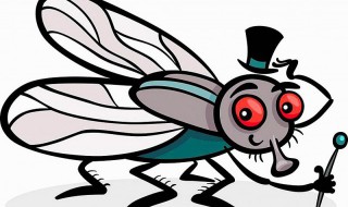 驱蝇子最有效的办法 驱蝇子最有效的办法随身