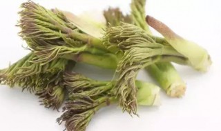 刺嫩芽的食用方法 刺嫩芽的食用方法怎么清洗